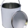 PAINT CAN WITH LID 3.79L 4 9510926142 maalipurkki fullhd
