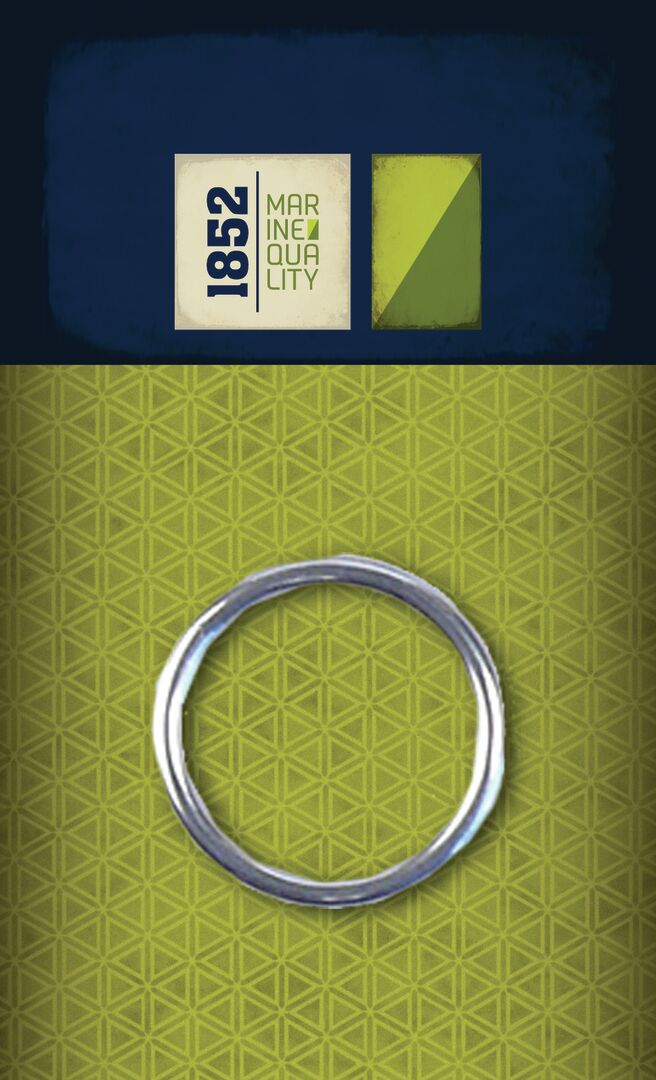 RING 10X60MM, STAINLESS STEEL AISI316 1 RING 10X60MM, STAINLESS STEEL AISI316