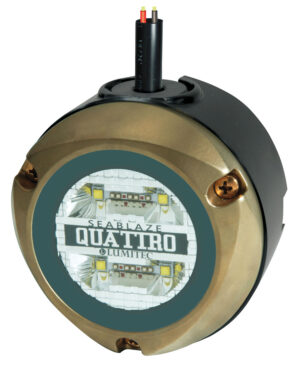 ZAMBEZI QUATTRO SURFACE-MOUNTED UNDERWATER LIGHT, BRONZE