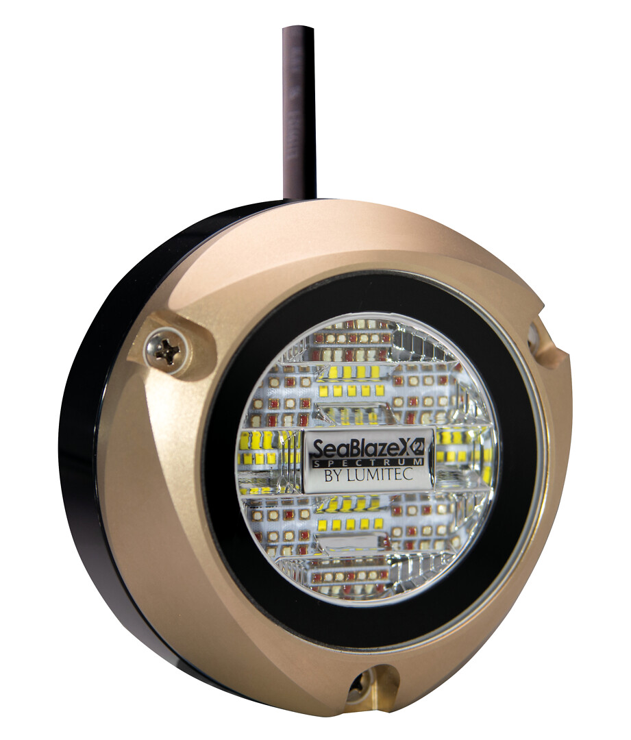 ZAMBEZIX2 SURFACE-MOUNTED UNDERWATER LIGHT, BRONZE 2 ZAMBEZIX2 SURFACE-MOUNTED UNDERWATER LIGHT, BRONZE - Image 2