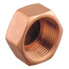 PLUG WITH INTERNAL THREAD BRONZE 1/2'' 8 9515015484 fullhd jpg