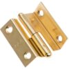 LIFTING HINGE 40x35mm BRASS RIGHT 9 9516005010 fullhd jpg