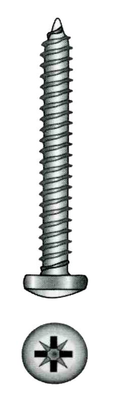 TAPPING SCREW CYLINDER HEAD 5.5X38MM