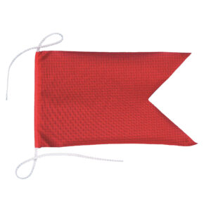PROTEST FLAG