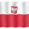 VISITOR'S TICKET 20X30CM, POLAND 3 9519033113 fullhd