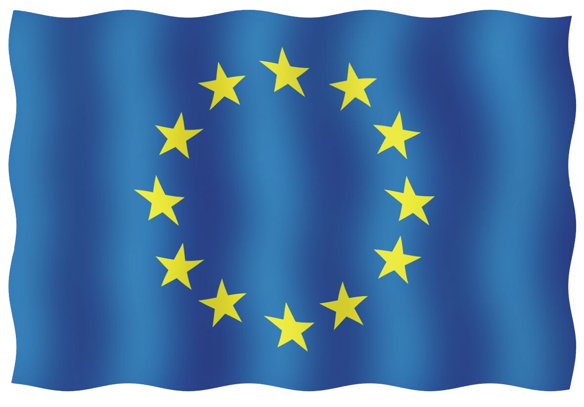 VISITOR'S TICKET 20X30CM, EUROPEAN UNION 1 VISITOR'S TICKET 20X30CM, EUROPEAN UNION