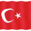 VISITOR'S TICKET 20X30CM, TURKEY 3 9519033127 fullhd