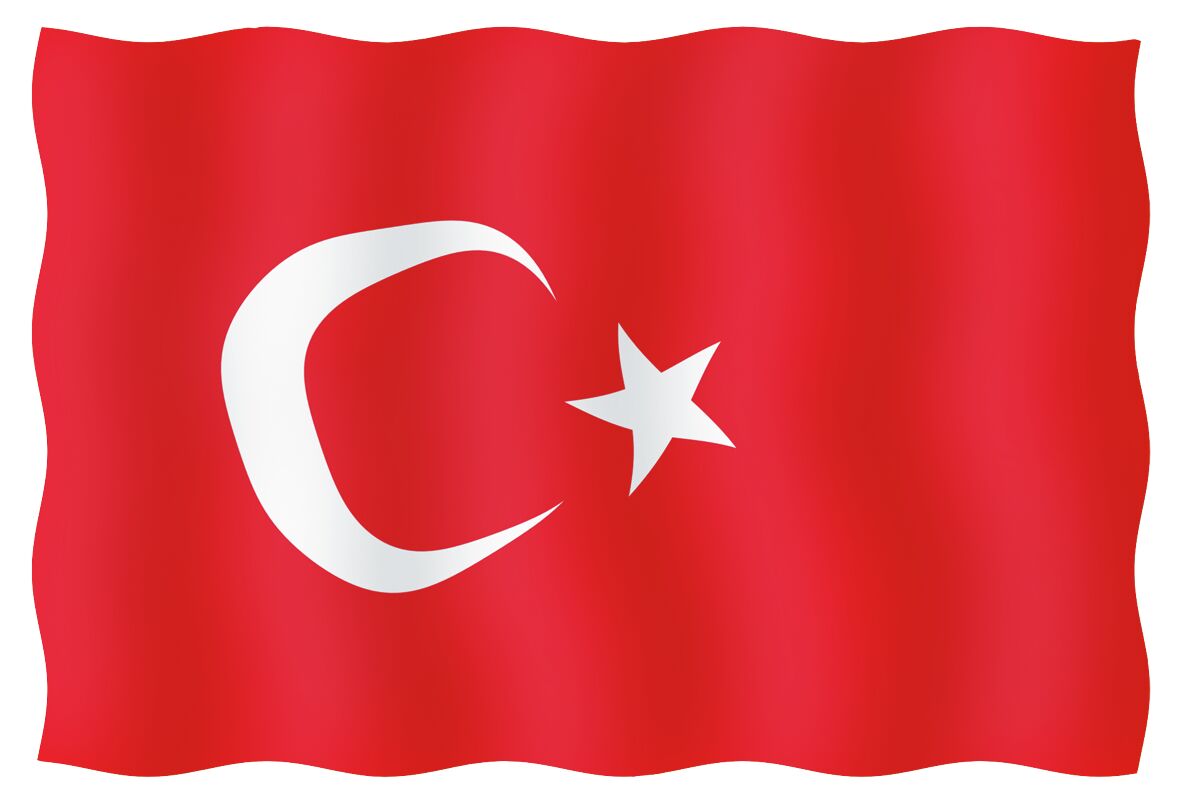 VISITOR'S TICKET 20X30CM, TURKEY 1 VISITOR'S TICKET 20X30CM, TURKEY
