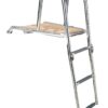FORWARD PLANE WITH LADDER