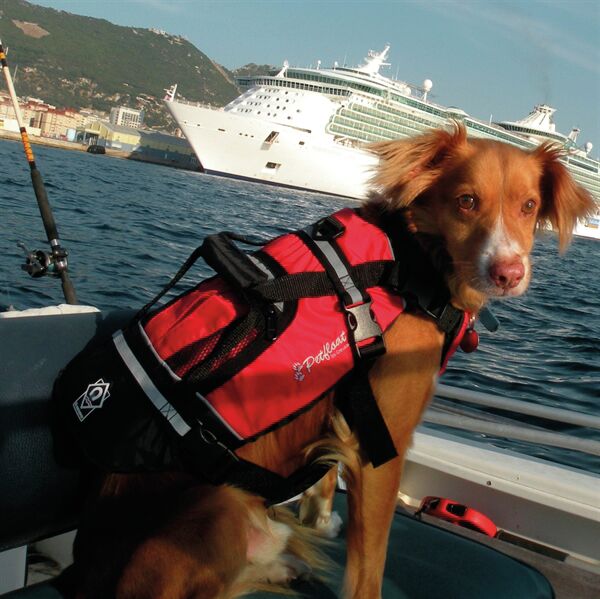 DOG FLOAT VEST, S 4 DOG FLOAT VEST, S - Image 4