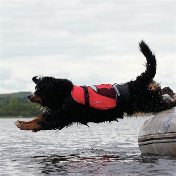 DOG FLOAT VEST, L 2 DOG FLOAT VEST, L - Image 2