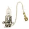 BULB 24V