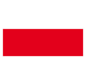 Federal state flag PES 200x300mm Thuringia