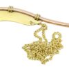 Boatswain's pipe Ms with necklace 2 ek52116