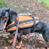 Dog swimming aid size S max. 8kg orange