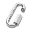 PEGUET screw link long A4L 2.5mm 2 mcg025