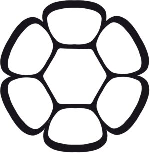 Wire rope Compacted Strand 1x7 A4 4mm